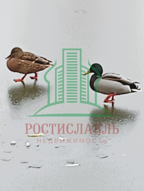 Продается 1-комнатная квартира, площадью 27.00 кв.м. Московская область, Коломенский городской округ, город Озёры, улица Челнок, дом 14а